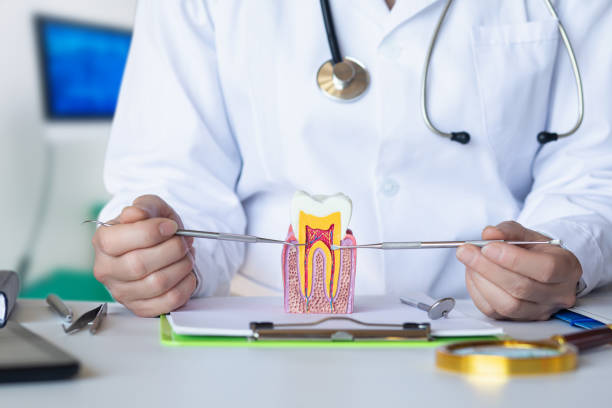 Best Emergency Dental Surgery in North Puyallup, WA